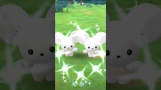 ワッカネズミ色違いついに出た…けど…！ #ポケモンgo #ポケモン #ポケカ #pokemongo #pokemon #ポケモンカード#吉本新喜劇
