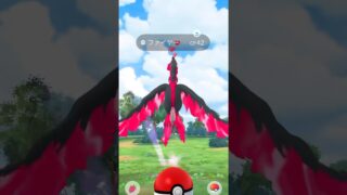 勝負を急ぎすぎた。次こそ捕まえるぞ！（できれば色違いで） #pokémon #ポケモンgo