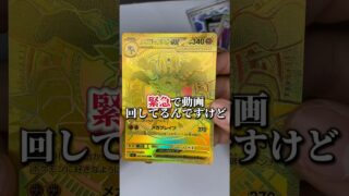 本物？？#ポケカ #ポケモンカード #開封動画#ポケカ開封 #神引き#pokemontcg #shorts