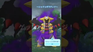 楽しい日々ー占拠︙ギラティナ＃ポケモンＧＯ＃ギラティナ＃シャドゥ＃サカキ