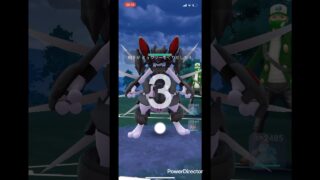 ミューツーと対戦してみた
