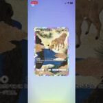 #ポケモンカード #ポケモン #ポケカ開封 #ポケカ最新情報