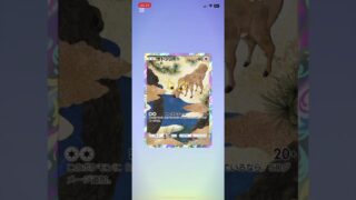 #ポケモンカード #ポケモン #ポケカ開封 #ポケカ最新情報