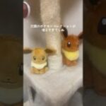 パパのポケモンコレクションが多すぎるwwwww #ポケモン #ポケモンカード