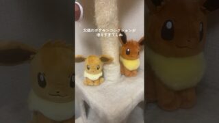 パパのポケモンコレクションが多すぎるwwwww #ポケモン #ポケモンカード