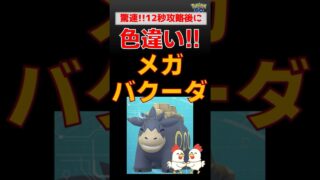 予告編【メガバクーダ！色違い】驚速12秒で勝利 #ポケモンgo #ポケモン #pokemongo #レイドバトル #バクーダ #カイオーガ #色違い #shinypokemon