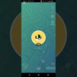 メタモンのお披露目で1位獲得🥳#ポケモンGO