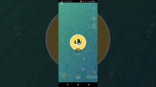 メタモンのお披露目で1位獲得🥳#ポケモンGO