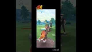 ランドロスがまさかの3タテ!!?? #ポケモンgo #ポケモン #gbl #マスターリーグ
