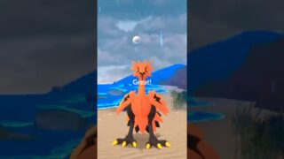 🔥5 SHINIES & GALARIAN BIRD🔥 Pokémon GO! #pokemongo #pokemongolive #shinypokemon #galarianbirds