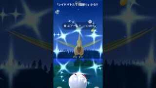 9/5　色違い3　エアームド