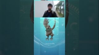 Corvinight SHINY para PVP