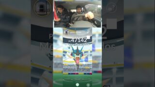 DOBLETE DE GYARADOS