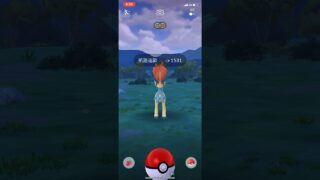 第一隻凱路迪歐:D[Pokemon Go]