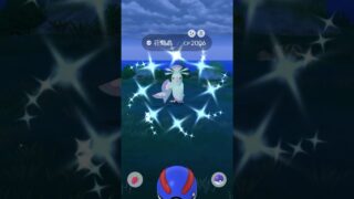 ポケモンGO ｜#074｜無課金｜ Pokémon GO
