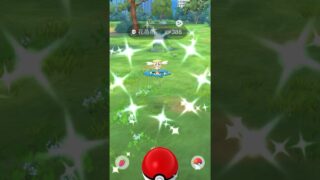 ポケモンGO ｜#080｜無課金｜ Pokémon GO