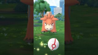 ポケモンGO ｜#094｜無課金｜ Pokémon GO