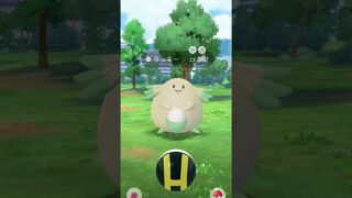 #ポケモンGO色違い。