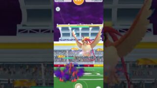 メガピジョットを初心者がソロで討伐してみた：ポケモンGO