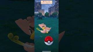 【難易度低】色違いカモネギ極小サークルクリティカルゲット【ポケモンGO】