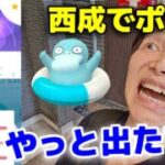 中高年が真のワイルドエリア西成でポケモンGO