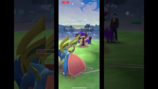 ポケモンGOサカキ倒してみた