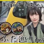 ポケふた初心者におすすめ♡栃木・宇都宮のポケふた巡り【ポケモンGO】【女一人旅】