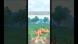 【ポケモンGO】技調整で超強化されたつつくドリクチ兄弟が環境ポケモン達を啄んでいく… #ポケモンGO #ポケモン #GBL #砦撲滅委員会
