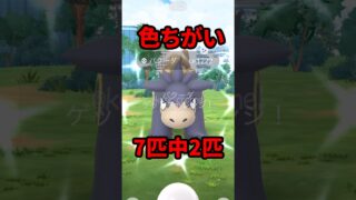 【ポケモンGO】バグ多発レイドでも爆運！色違い＆キラポケ同時進行！ #ポケモンGO #メガバクーダレイドデイ #おひろめ #shorts