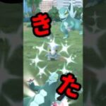 【ポケモンGO】「大発見ガチャ神回！色違いセビエついに降臨！」 #ポケモンGO #大発見 #色ちがいセビエ #おひろめ #shorts