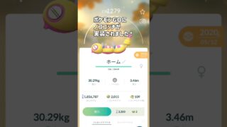 【ポケGOノココッチ実装！】 #ポケモン #ポケモンgo #ノココッチ