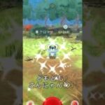 【ポケモンGO】予告を送りにゃう！…全然捕まらない⁉︎ #ポケモンgo #ポケモン #色違い #ケロマツ #shorts