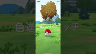 ポケモンGO 色違いノコッチ出現！ #pokémon #ポケモンgo #ポケモン #pokemongo