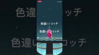 ポケモンGO 色違いノコッチを色違いノココッチへ進化！ #pokémon #ポケモンgo #ポケモン #pokemongo