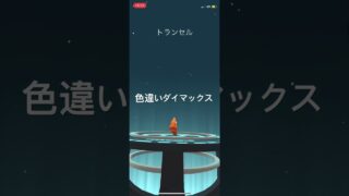 ポケモンGO 色違いダイマックスキャタピー出現！色違いトランセル、色違いバタフリーへ進化！ #pokemongo #pokémon #ポケモンgo #ポケモン