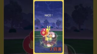 【ポケモンGO】サカキ様がシャドウトルネロスで闘いを挑んできた #shorts