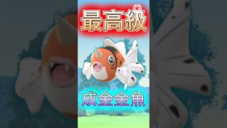 【ポケモンGO】レガシー技2枚採用の成金金魚アズマオウが普通にぶっ壊れレベルのパワー持ってたwwwwwwwww(スーパーリーグ)#ポケモンgo #goバトルリーグ #shorts
