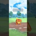 本日のポケモンGO対戦動画投稿の8日目です！今日は出し負けでしたが上手く捲って勝つことができて良かったです！ #ポケモン #ポケモンgo #ポケモンgo対戦動画