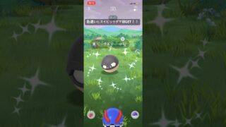 ポケモンGO色違いヒスイビリリダマ初GET！！#ポケモン #ポケモンgo #pokemongo