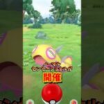 【重要】⚠️変更点注意⚠️激カワ大人気ポケモンノココッチが登場！メタモンの変身ポケモンも変更！ノーマルセンセーショナルが開催【ポケモンGO】#ポケモンGO #島名なまし　#ノココッチ