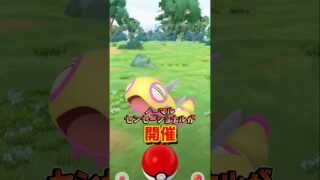 【重要】⚠️変更点注意⚠️激カワ大人気ポケモンノココッチが登場！メタモンの変身ポケモンも変更！ノーマルセンセーショナルが開催【ポケモンGO】#ポケモンGO #島名なまし　#ノココッチ