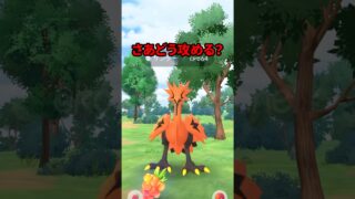 【ポケモンGO】GOパス最終日で奇跡！前回は奇跡？今回のサンダー挑戦の結果は？ #おひろめ #ポケモンGO #ガラルサンダー #shorts