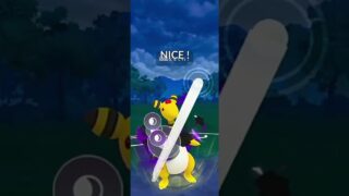 【ポケGO】シャドウデンリュウでフォレトスとハッサムに抗う！！S24：スーパーリーグ  #ポケモンGO #gbl