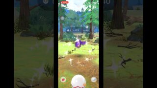 【ポケモンGO】色違いヒンバス狙ってシエラと対決⚔️#ポケモンgo #shorts #色違いポケモン #ヒンバス