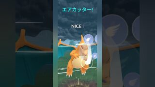 【ポケモンGO】シールドを剥がした後のリザードンが止まらない！【サマーカップ】【バトルリーグ】#shorts #ポケモンgo #goバトルリーグ #gbl #サマーカップ #pokemongo