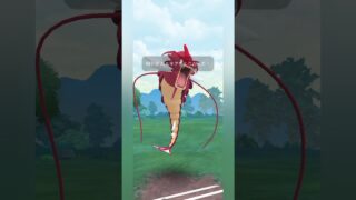【ポケモンGO】メガギャラドスが強すぎる！【マスターリーグ】【バトルリーグ】#shorts #ポケモンgo #goバトルリーグ #gbl #マスターリーグ #pokemongo