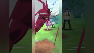 【ポケモンGO】起点を作ったメガギャラドスが止まらない！【マスターリーグ】【バトルリーグ】#shorts #ポケモンgo #goバトルリーグ #gbl #マスターリーグ #pokemongo
