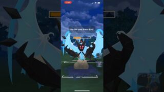 Ho-oh schools Dawn Wings Necrozma