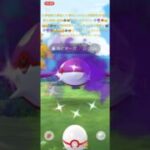 ✨【世界一暴れ狂う攻撃最強】【初実装色違いシャドウカイオーガちゃん降臨】【クリスタルM攻略法炸裂】二体目の🐳🐳❤️‍🔥😉🤗🥰🐺😎✨ #ポケモンgo #ポケモン #ポケットモンスター