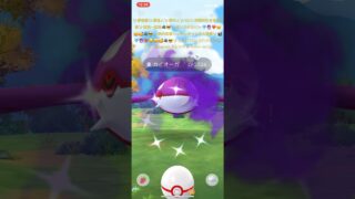 ✨【世界一暴れ狂う攻撃最強】【初実装色違いシャドウカイオーガちゃん降臨】【クリスタルM攻略法炸裂】二体目の🐳🐳❤️‍🔥😉🤗🥰🐺😎✨ #ポケモンgo #ポケモン #ポケットモンスター